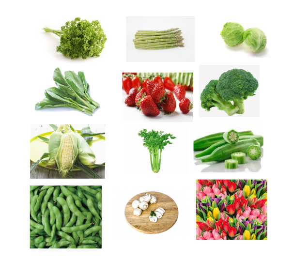 قدرة تبريد كبيرة للخضروات المبرد المائي / آلة تبريد الخضروات ذات الفراغ بضاغط بيتزر 1